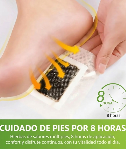 KIT RITUAL DETOX PIE